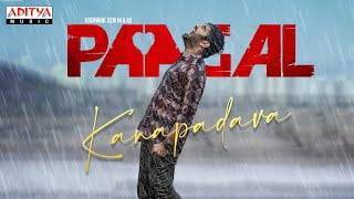 Kanapadava Song Lyrics - Paagal (2021)
